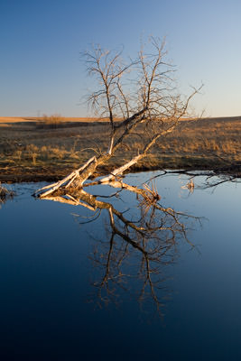 Kansas fall