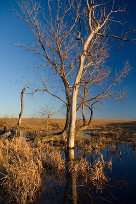 Kansas fall