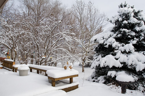 winter snow: back deck