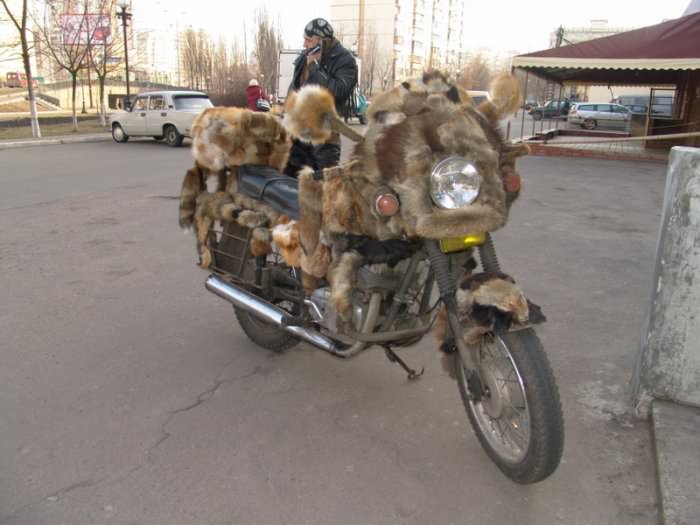 fuzzy bike