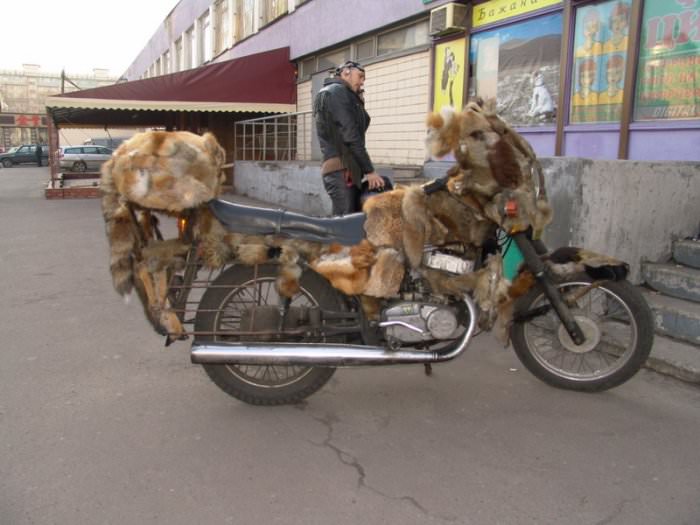 fuzzy bike