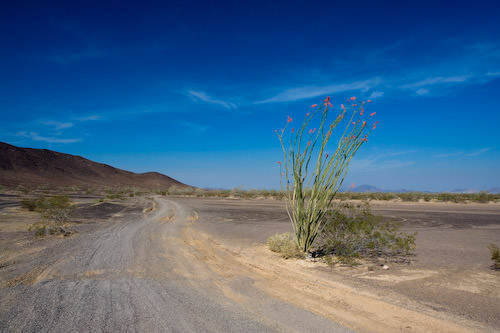 desert near Blythe