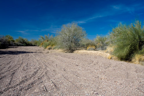 desert near Blythe