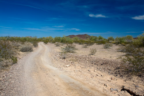 desert near Blythe