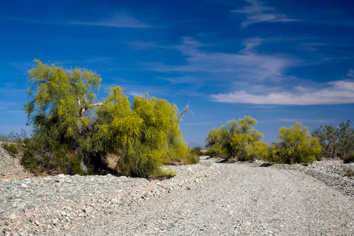 desert near Blythe