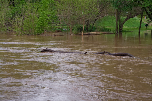 Lindsborg flood