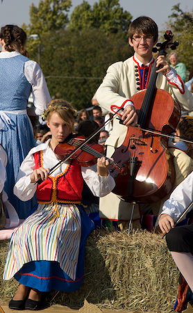 Svensk Hyllningsfest 2007 parade