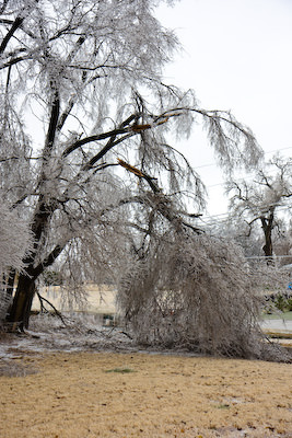 Lindsborg ice storm