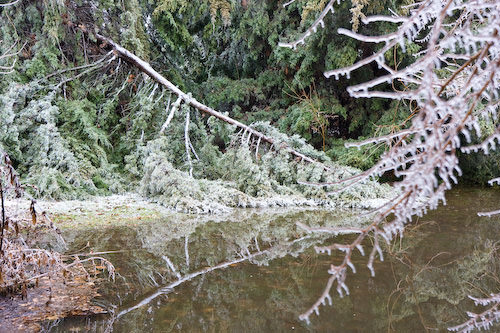 Lindsborg ice storm