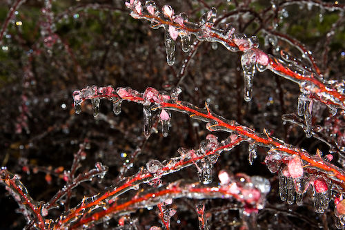 Lindsborg ice storm