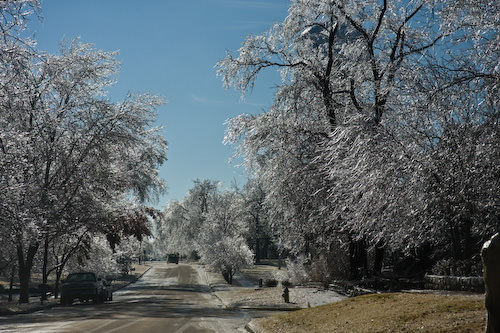 ice storm aftermath