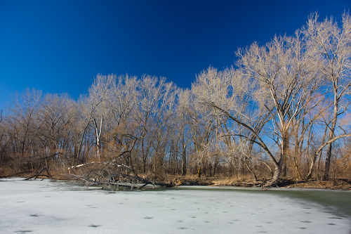 crystal river