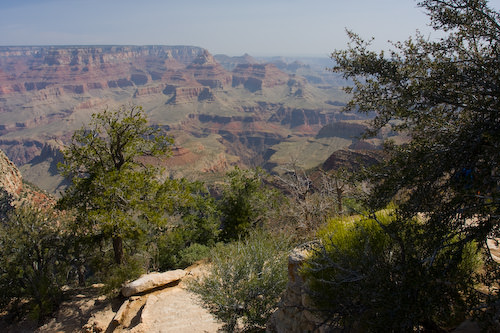 Grand Canyon