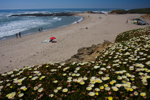 Santa Cruz coast