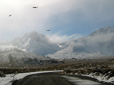 Eastern Side of Sierra Nevada, near Mammoth