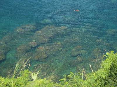 reef at Honolua Bay