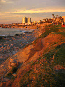 La Jolla Gold