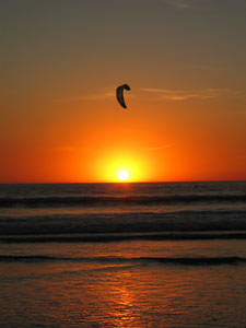 windsurfing at silverstrand beach