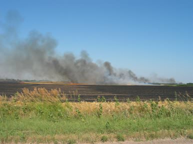 burning stubble