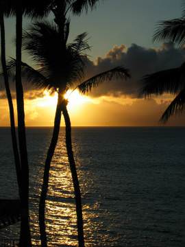 Maui sunset