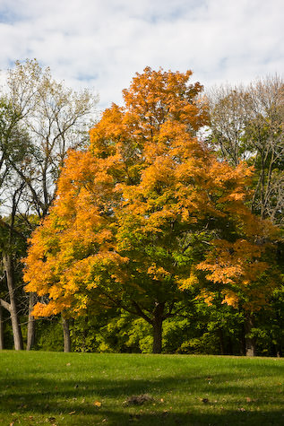 Hannibal fall colors