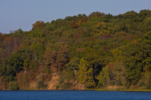 Fleming Park, fall 2008