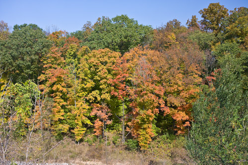 Hannibal fall colors