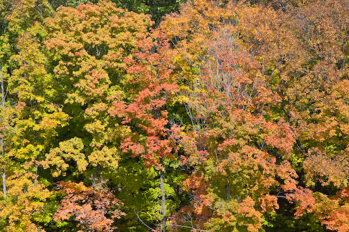 Hannibal fall colors