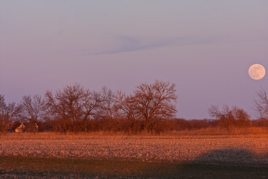 Kansas, early winter 2008-09