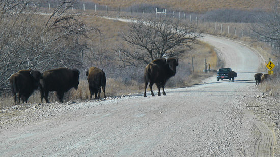 Kansas, early winter 2008-09