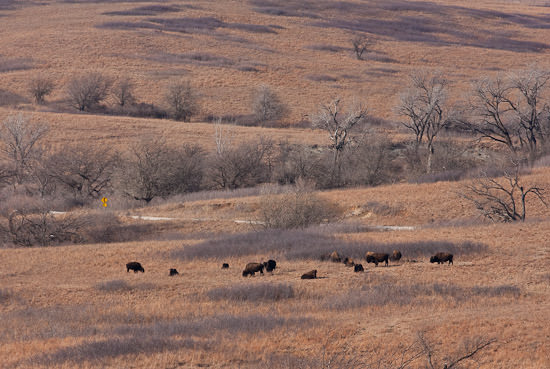 Kansas, early winter 2008-09