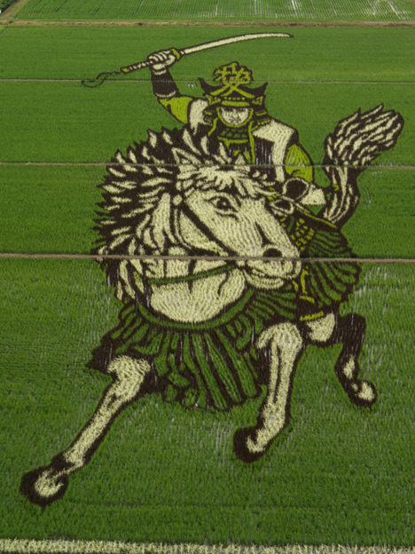 rice paddy art 2009