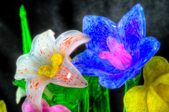 glass flowers