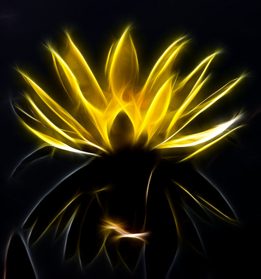 fractalius flower