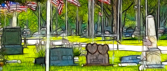 Memorial Day flags