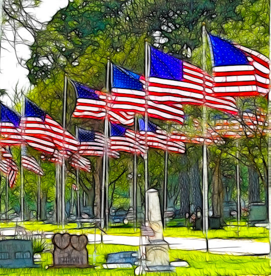 Memorial Day flags