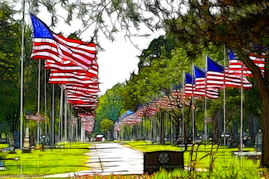 Memorial Day flags