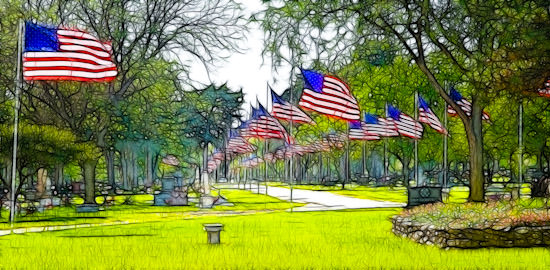 Memorial Day flags