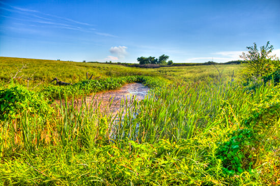 Summer 2010 (HDR)