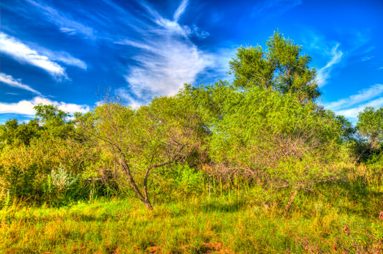 Summer 2010 (HDR)