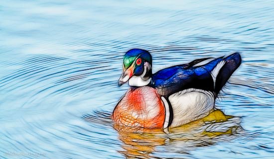 Fractalius Wood Duck