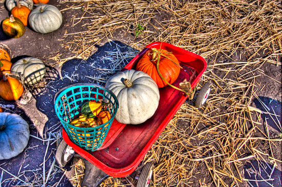 Indian Summer: central CA Coast