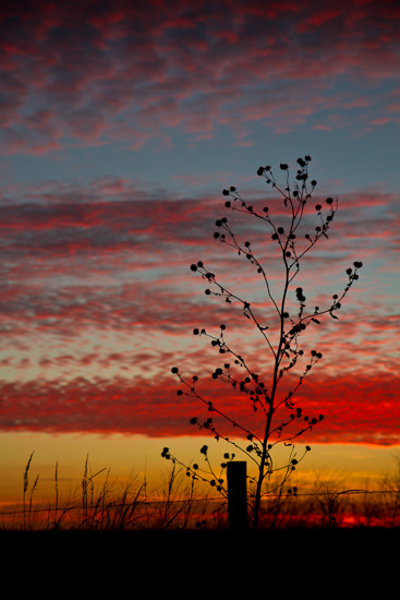 December sunset