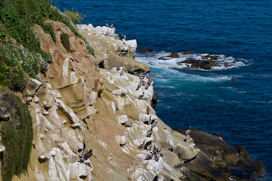 La Jolla