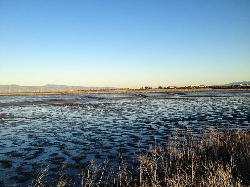 March cycling