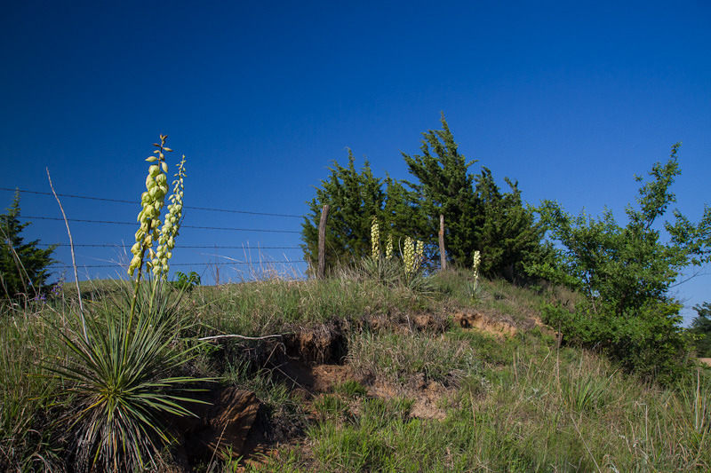 spring in Kansas