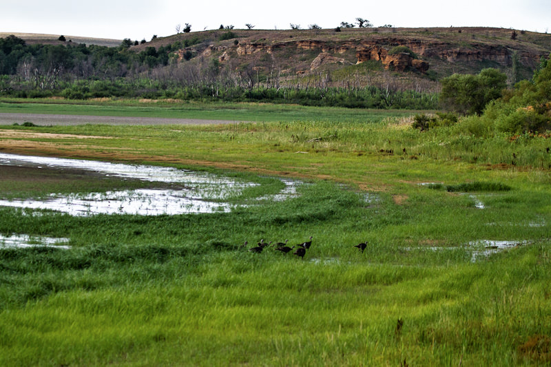 Kanopolis drought