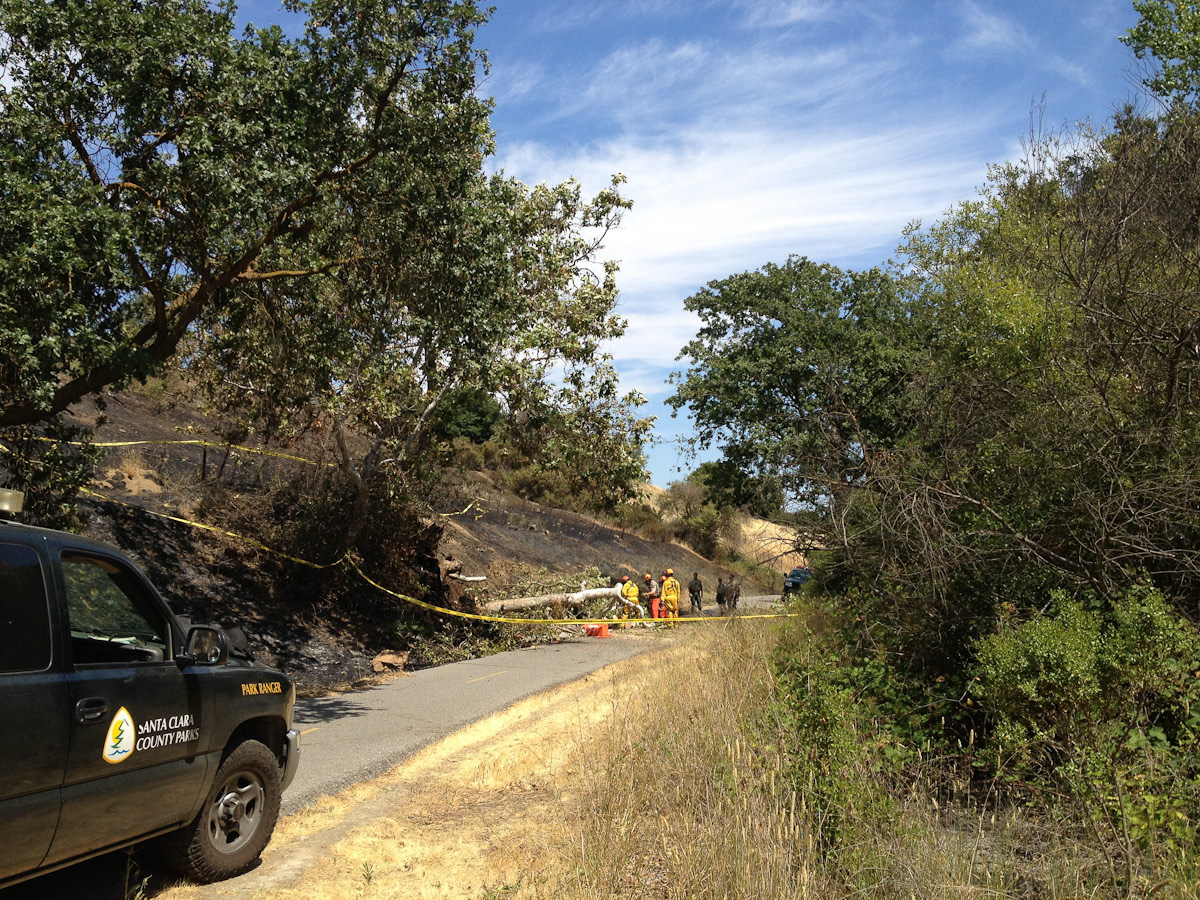 Coyote trail