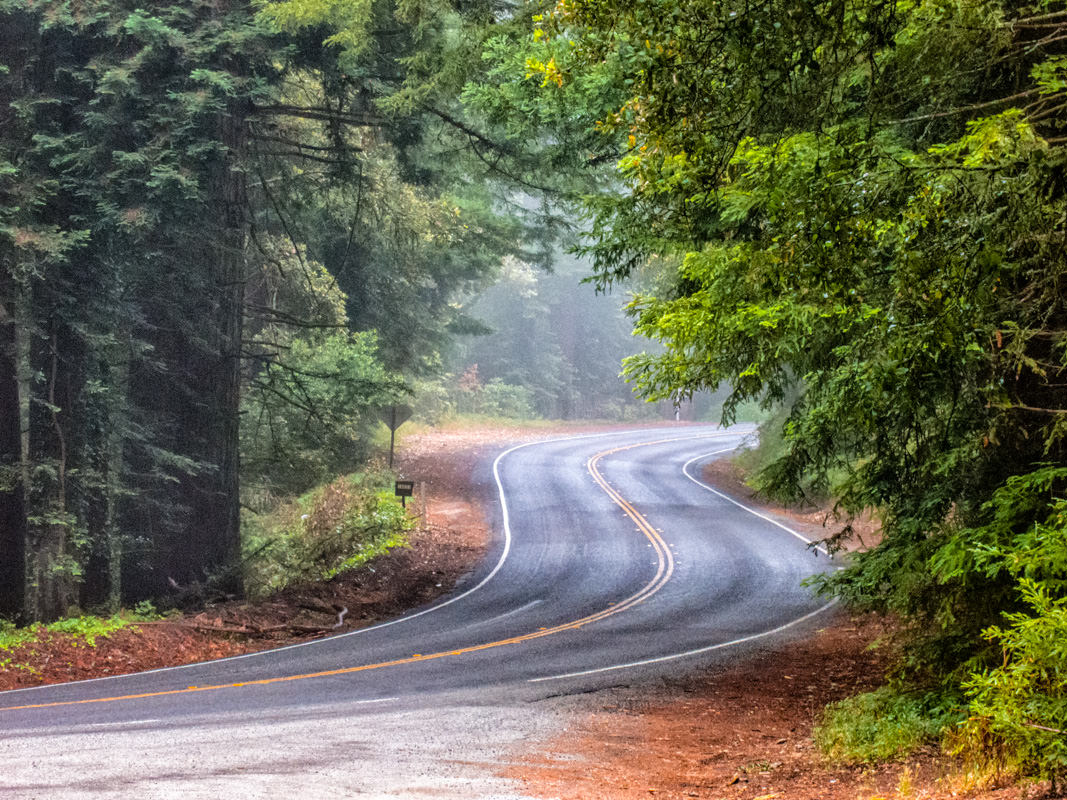 Skyline Drive at Old la Honda Road