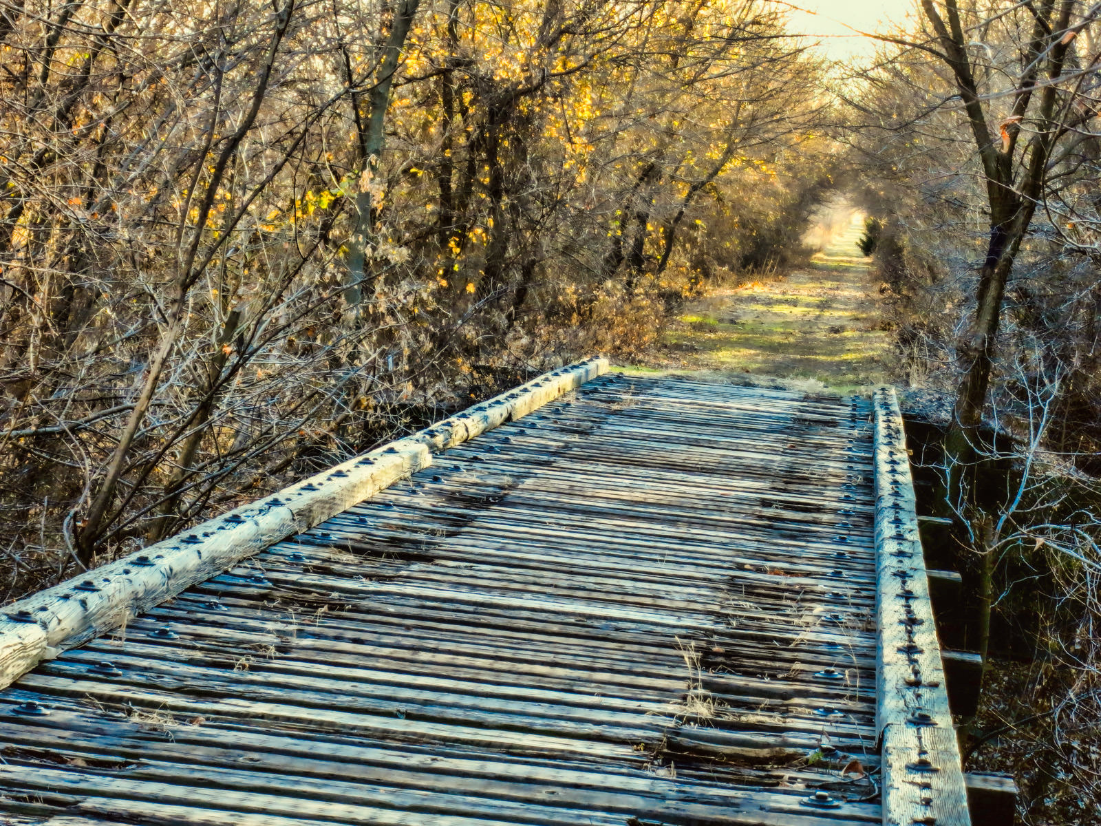 Meadowlark Trail